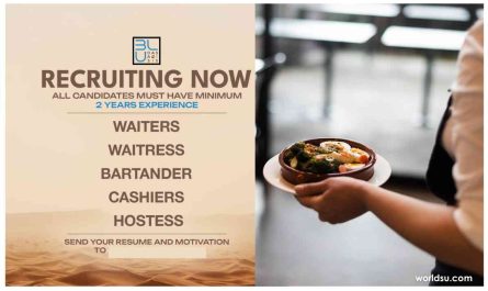 BLU Oasis Hiring Dubai